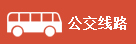 公交路线
